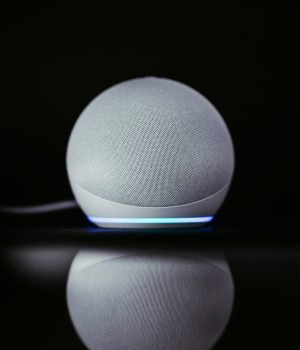 pexels-jonathanborba-14309806